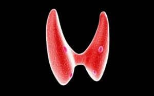 Image of the thyroid gland showing the need for thyroid cancer