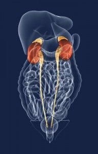 Adrenalectomy Boulder