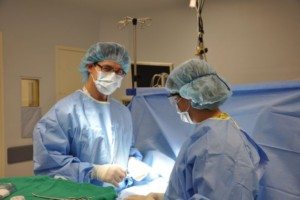 Dr. Fox Alpine Surgical in Boulder