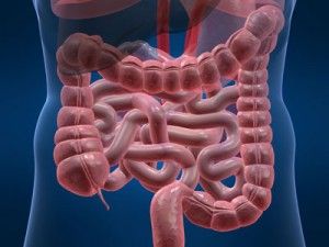 Appendicitis Boulder