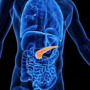 Pancreatic Surgery Boulder