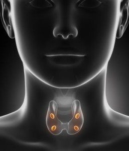 Parathyroid Surgery Boulder