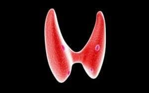Thyroid Surgery Boulder